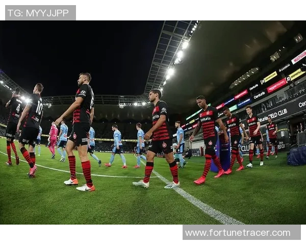 2017年西悉尼对阵惠灵顿精彩赛事回顾与分析