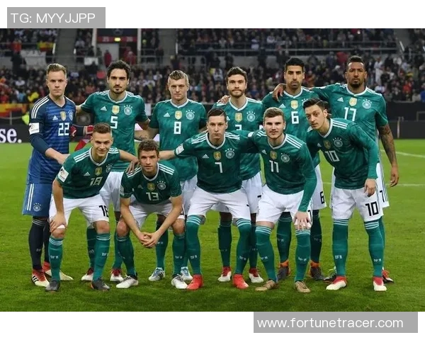 比利时与沙特足球对决解析球队实力与战术对比分析