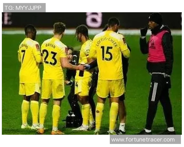 布莱顿与富勒姆激战在即谁能在英超赛场上笑到最后