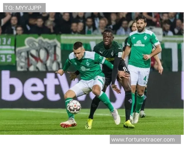 德累斯顿与汉堡比赛是否会延期的最新消息与分析