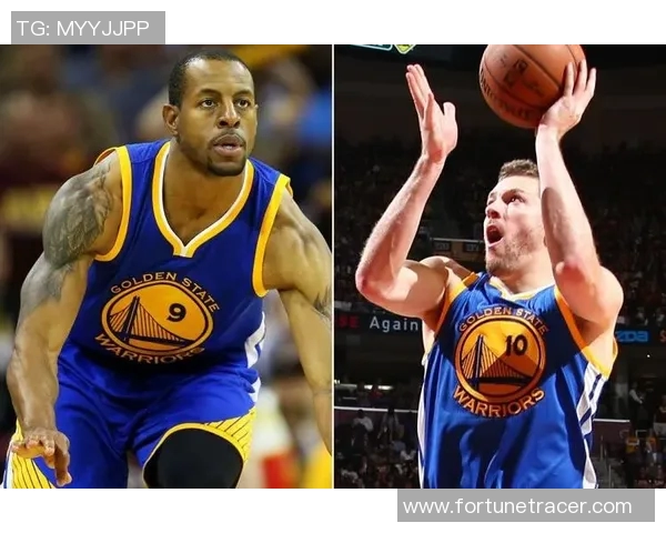 加里纳利的篮球之路：从崭露头角到国际赛场的辉煌历程